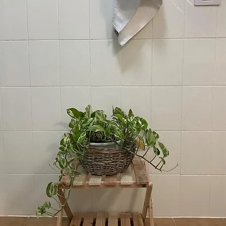 Appartement Natalia *